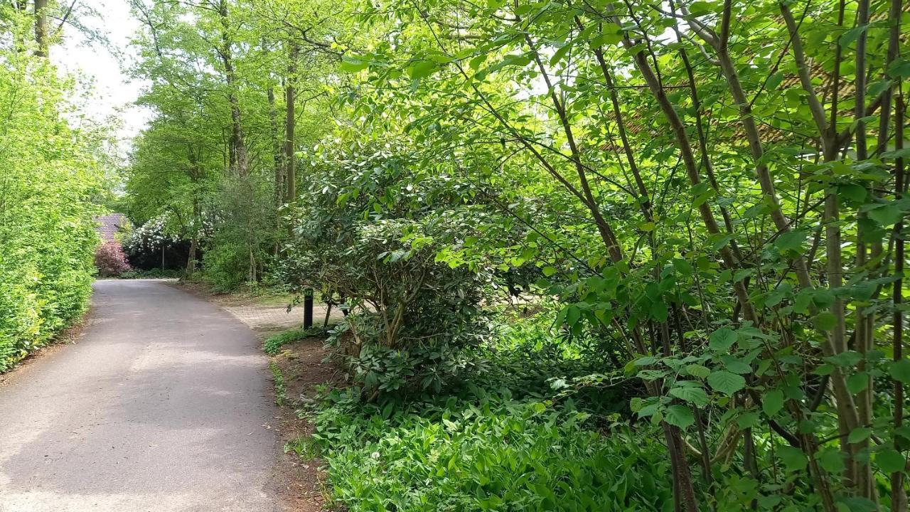Vechtdalhuisje 17 옴멘 외부 사진