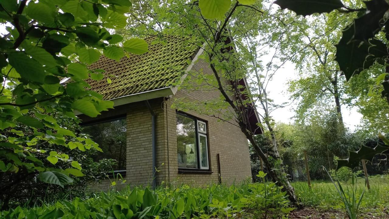 Vechtdalhuisje 17 옴멘 외부 사진